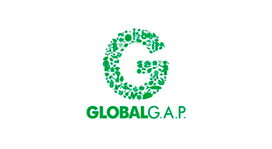 globalg-a-p